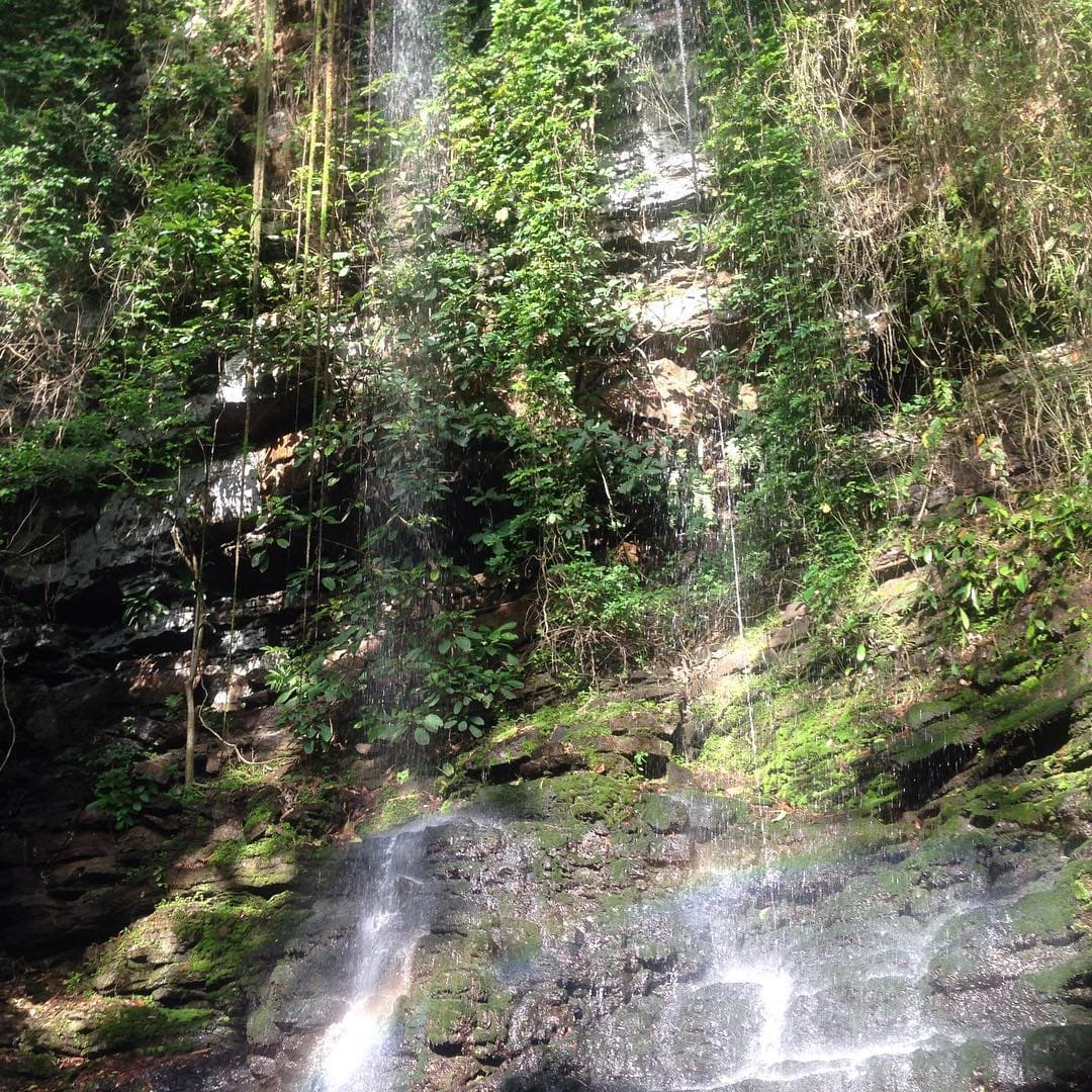 Oboadaka Waterfall cascading through dense, sunlit forest near Aburi